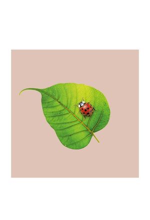 SERVILLETAS BAMBU 20U LADYBUG 