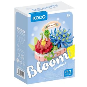 KOCO SUCULENTAS COMBINACI�N PLANTAS EN MACETA 271 PIEZAS