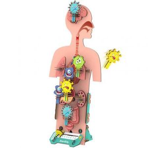 CUERPO HUMANO ANTIGERMENES