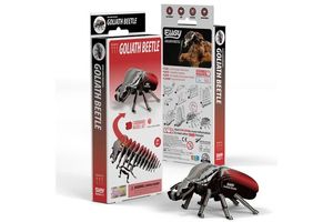 MINI PUZZLE 3D GOLIATH BEETLE