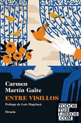 ENTRE VISILLOS