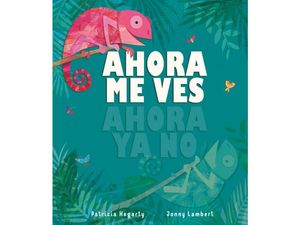 AHORA ME VES AHORA YA NO