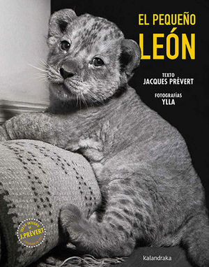 EL PEQUE�O LE�N