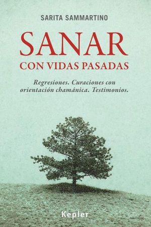 SANAR CON VIDAS PASADAS