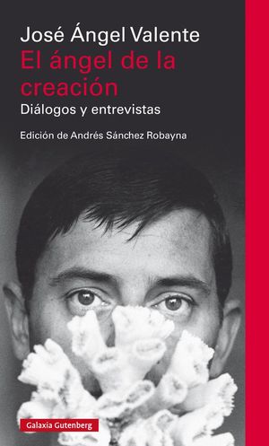 EL �NGEL DE LA CREACI�N