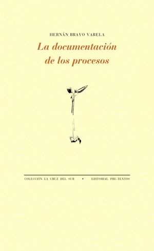 LA DOCUMENTACI�N DE LOS PROCESOS