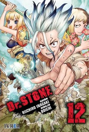 DR.STONE 12