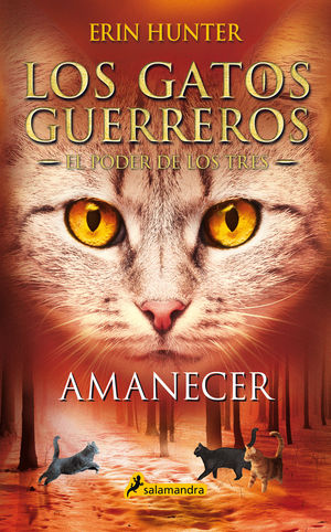 AMANECER (GATOS GUERREROS 3-#6)