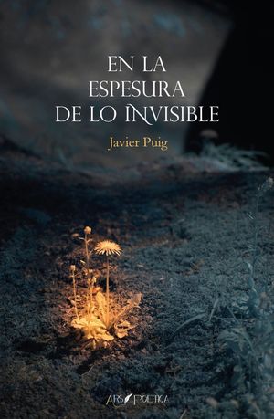 EN LA ESPESURA DE LO INVISIBLE