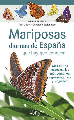 MARIPOSAS DIURNAS DE ESPAA QUE HAY QUE CONOCER