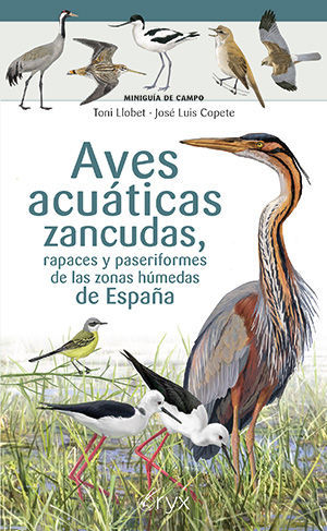 AVES ACUTICAS ZANCUDAS, RAPACES Y PASERIFORMES DE LAS ZONAS HMEDAS DE ESPAA