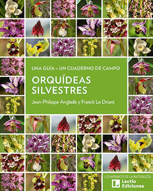 ORQUDEAS SILVESTRES