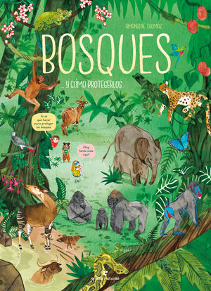 BOSQUES... Y C�MO PROTEGERLOS