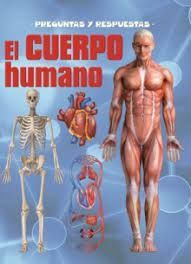 PREGUNTAS Y RESPUESTAS EL CUERPO HUMANO