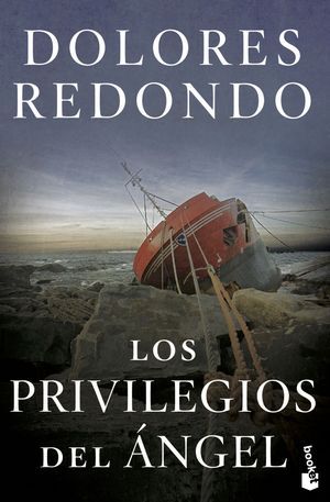 LOS PRIVILEGIOS DEL NGEL