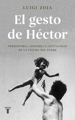 EL GESTO DE HCTOR