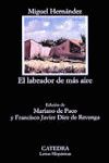 EL LABRADOR DE MS AIRE