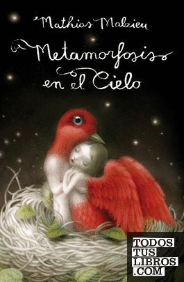 METAMORFOSIS EN EL CIELO