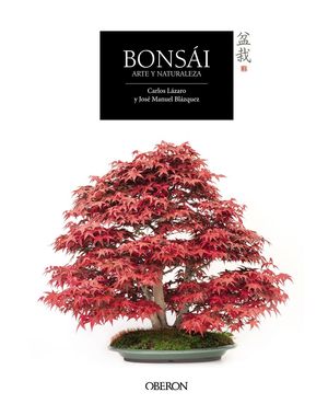 BONSI