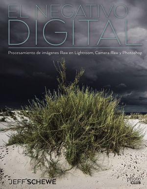 EL NEGATIVO DIGITAL: PROCESAMIENTO DE IMGENES RAW EN LIGHTROOM, CAMERA RAW Y PH