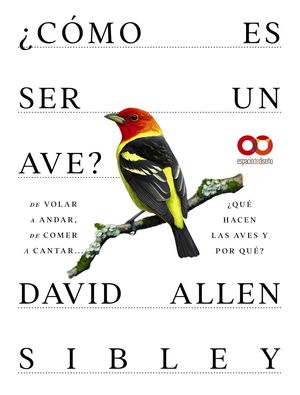 CMO ES SER UN AVE? DE VOLAR A ANIDAR, DE COMER A CANTAR... QU HACEN LAS AVES