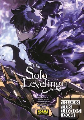 SOLO LEVELING 14