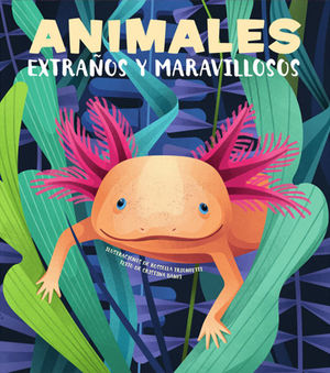ANIMALES EXTRAOS Y MARAVILLOSOS