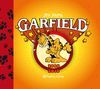 GARFIELD 2008-2010 Nº 16