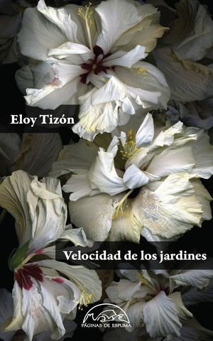 VELOCIDAD DE LOS JARDINES - CARTON Y NUMERADA