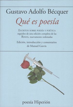QUE ES POESIA