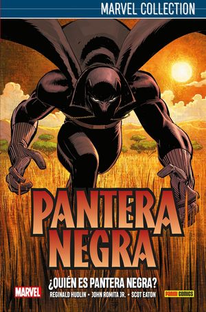 PANTERA NEGRA DE HUDKIN 01