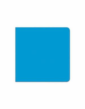EL LIBRO AZUL