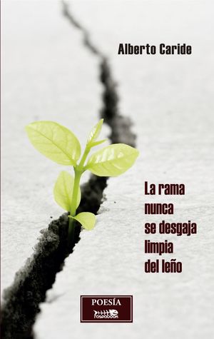 LA RAMA NUNCA SE DESGAJA LIMPIA DEL LE�O