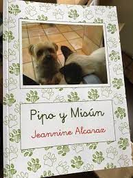 PIPO Y MISN