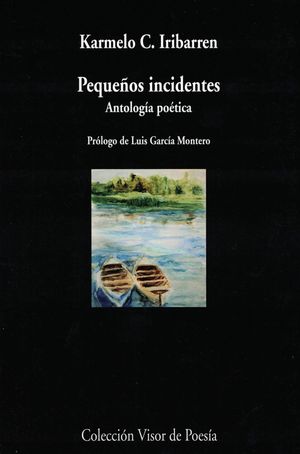 PEQUEOS INCIDENTES. ANTOLOGIA POETICA