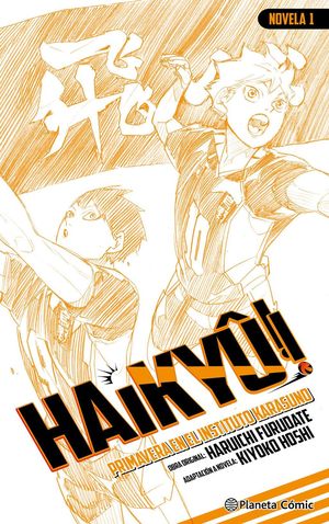 HAIKY�!! (NOVELA) N� 01